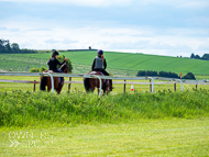 CH290522-80 - Charlie Hills Stable Visit